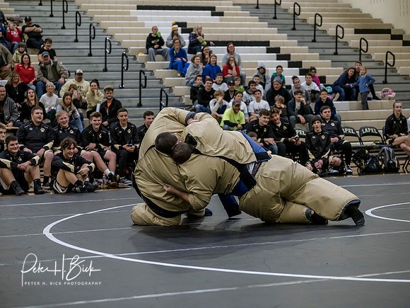 Lapel Wrestling 2018-19 0129
