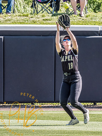 Lapel Softball 2024 2983-Edit
