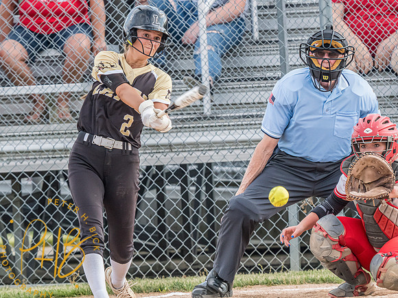 Lapel Softball 2024 0907-Edit