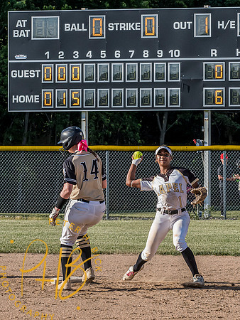 Lapel Softball 2024 1996-Edit