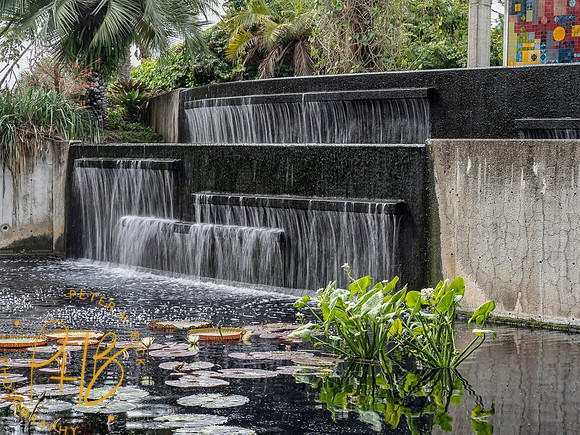 2022 Florida Trip 0097-Edit