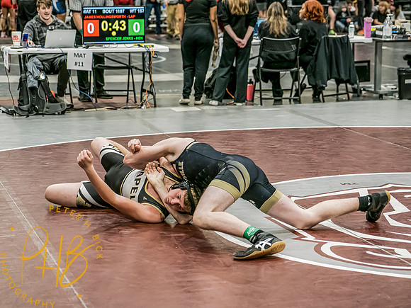 Lapel Wrestling 2024-25 0246-Edit
