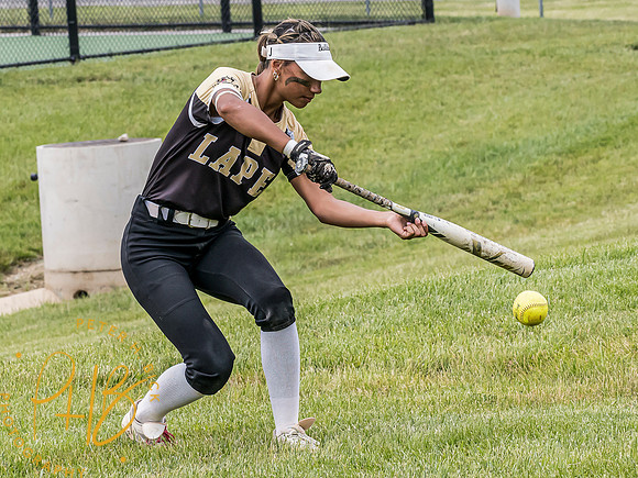 Lapel Softball 2024 2304-Edit