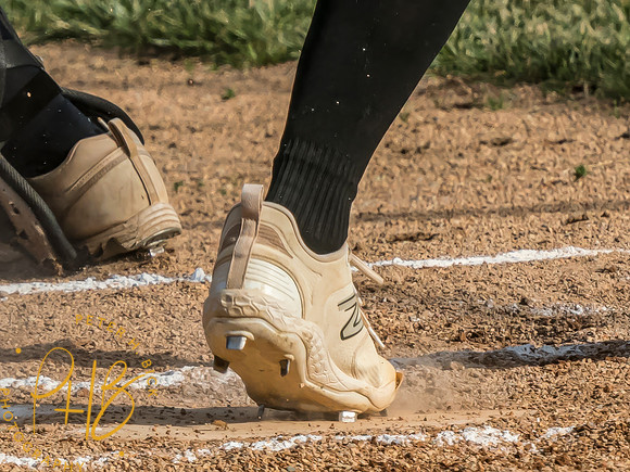 Lapel Softball 2024 1868-Edit