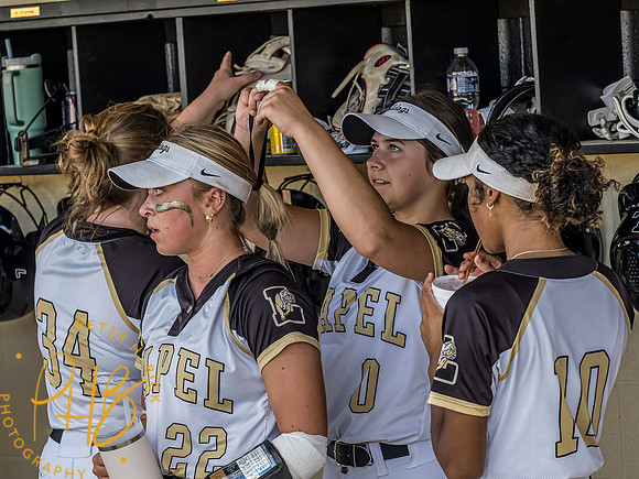 Lapel Softball 2024 1710-Edit