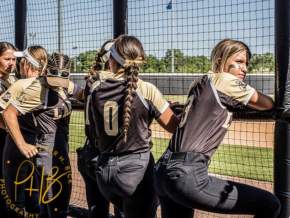 Lapel Softball 2024 3020-Edit
