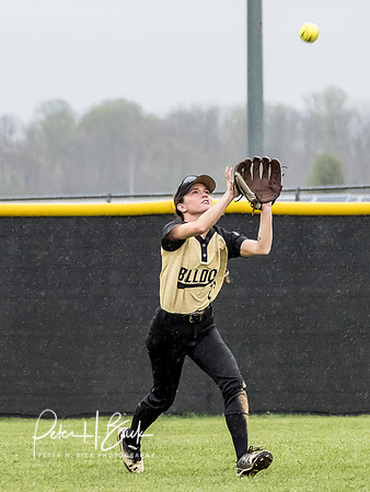 Lapel Softball 2019 0818