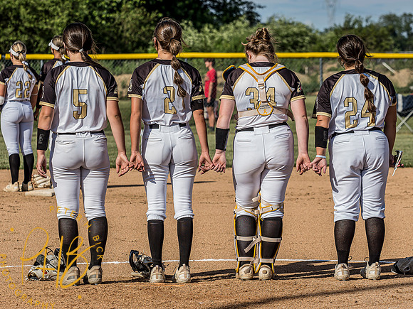 Lapel Softball 2024 1784-Edit