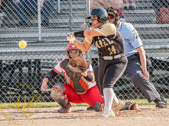 Lapel Softball 2024 0900-Edit