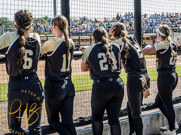 Lapel Softball 2024 3012-Edit