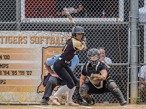 Lapel Softball 2024 2505-Edit
