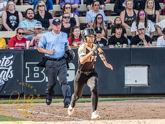 Lapel Softball 2024 3282-Edit