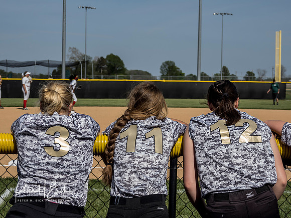 Lapel Softball 2019 1000