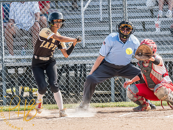 Lapel Softball 2024 0689-Edit