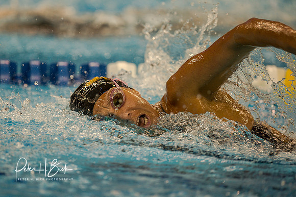 Varlas,M. 2012 USMS Nationals 2293