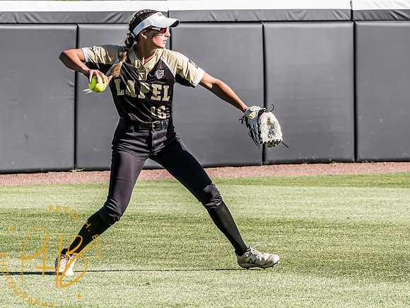 Lapel Softball 2024 3271-Edit