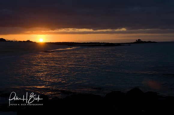 Galapagos 11-07 0684