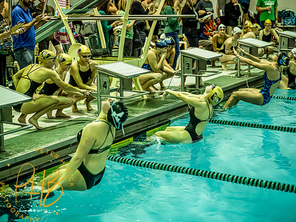 Lapel Swimming 2024-25 0033-Edit-topaz-sharpen-face