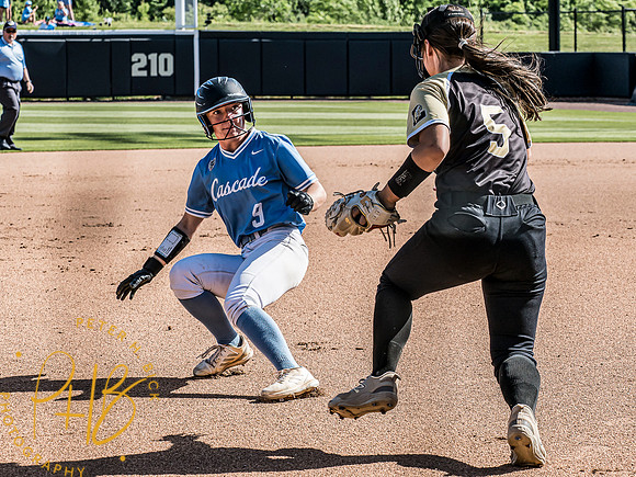 Lapel Softball 2024 3135-Edit