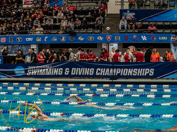 venue- 2024 Men NCAA S&D 0162-Edit