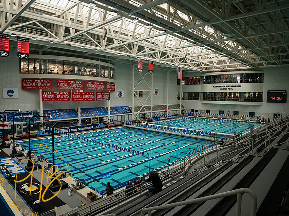 venue- 2024 Wm NCAA S&D 0004