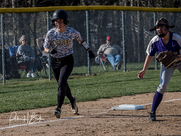 Lapel Softball 2019 0441
