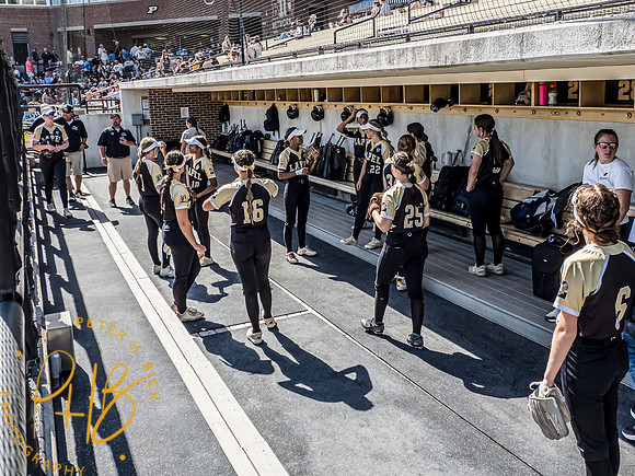 Lapel Softball 2024 2844-Edit
