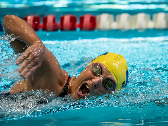usms-panam-2018 0719