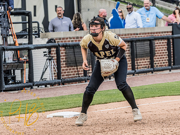 Lapel Softball 2024 3416-Edit