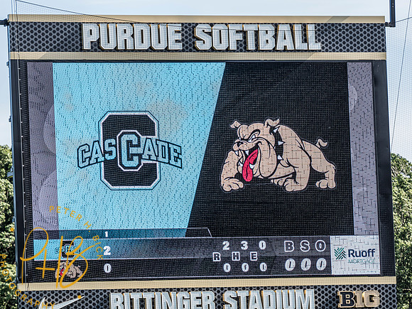 Lapel Softball 2024 3175-Edit