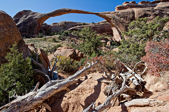 Arches NP 2011 0532