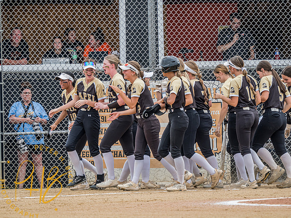 Lapel Softball 2024 2525-Edit