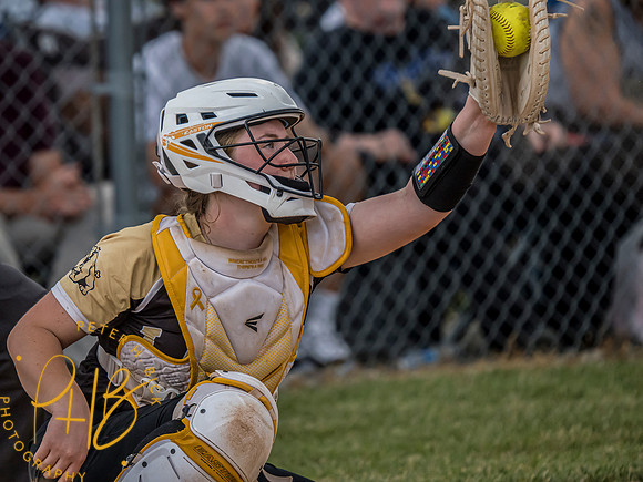 Lapel Softball 2024 1484-Edit